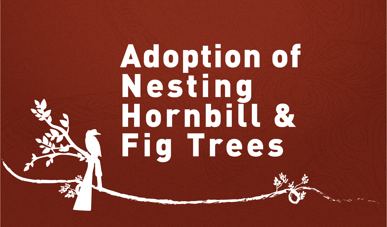 FAQ Adoption of Nesting Hornbill & Fig Trees