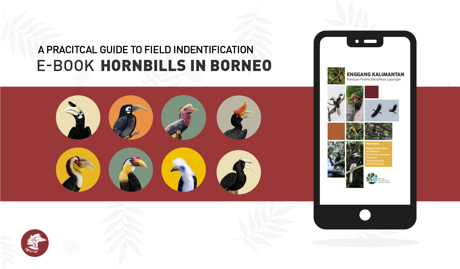 Kalimantan Hornbill E-Book: A Practical Guide to Field Identification